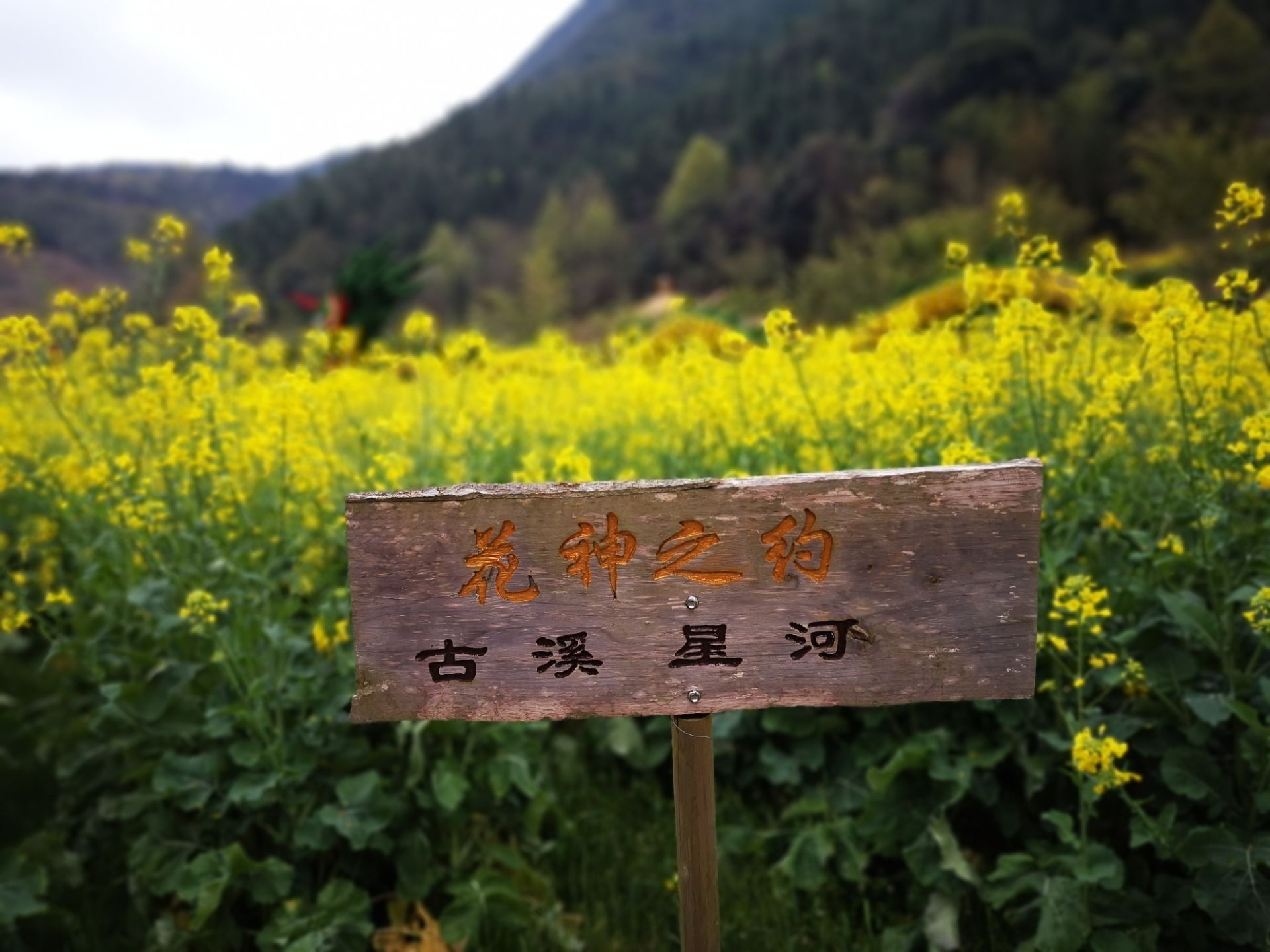 古溪星河休闲旅游度假景区