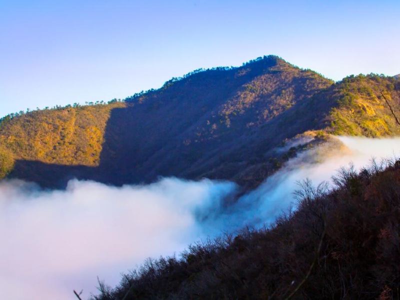 衢州梅树底风景区攻略-梅树底风景区门票价格多少钱