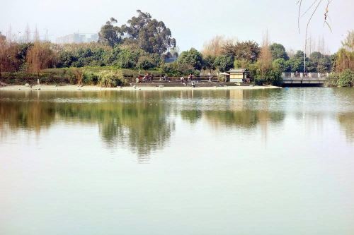 升仙湖公园