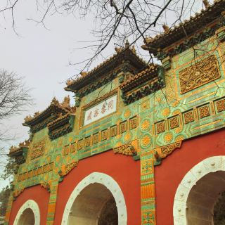 北京植物园-宿根园