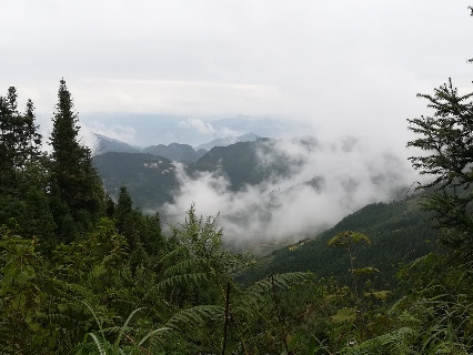 百色隆林的大山深处,云雾缭绕春来早