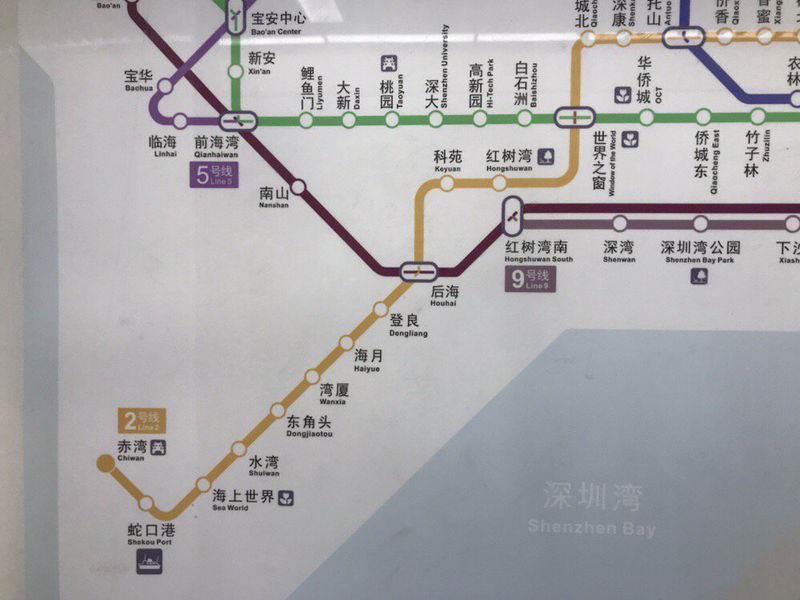 新蛇口港 蛇口地铁站到新的蛇口码头怎么搭车-深圳旅游问答 【携程