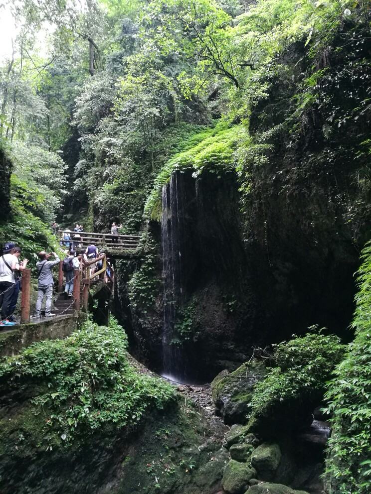 青城后山旅游景点攻略图