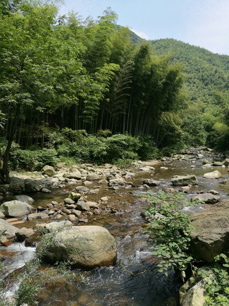 浙东大竹海景区