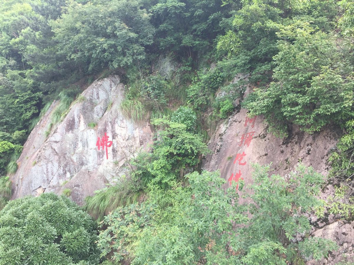 东天目山景区