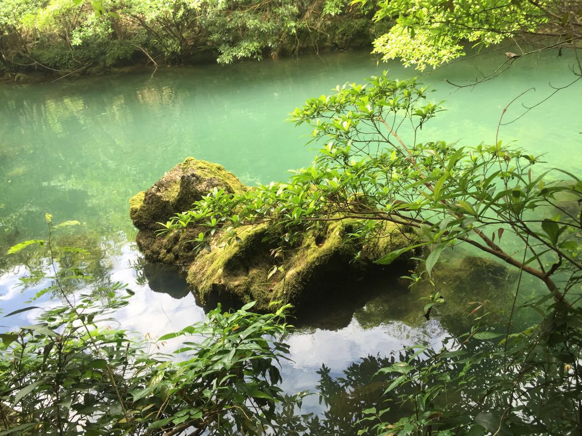 荔波茂兰自然保护区