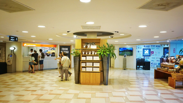 省钱秘笈,夏威夷免税店扫货旅游咨询一站式免正常人的游戏的玩法图片