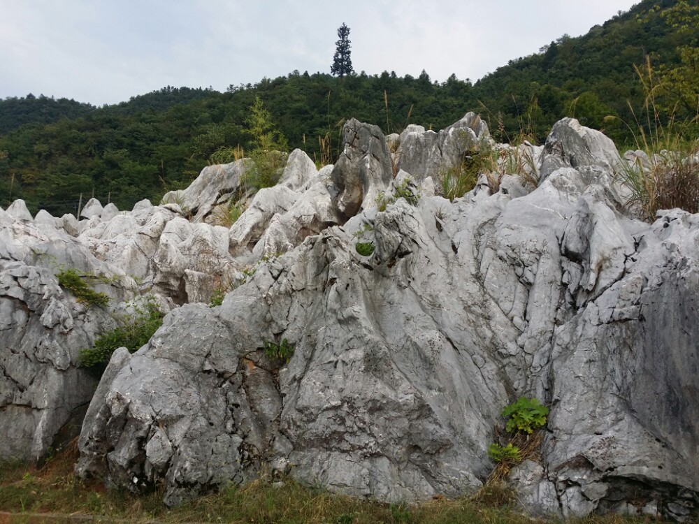 千岛湖石林景区