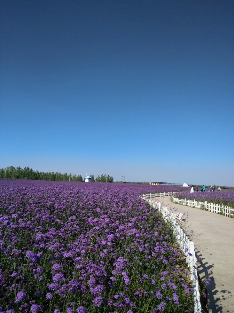 金沙岛旅游景点攻略图