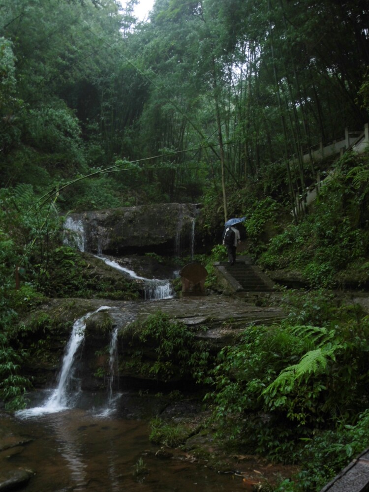 蜀南竹海旅游景点攻略图