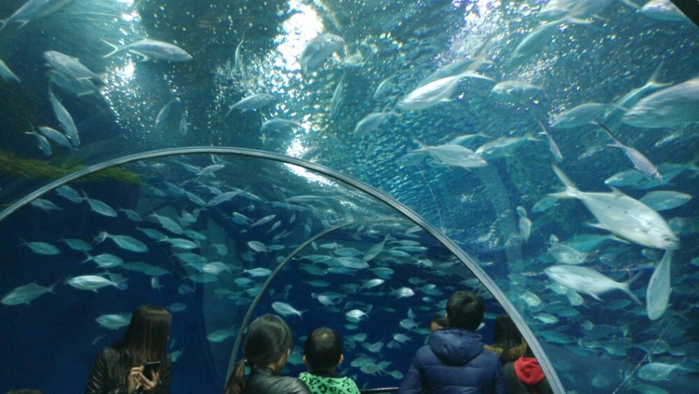 上海海洋水族馆