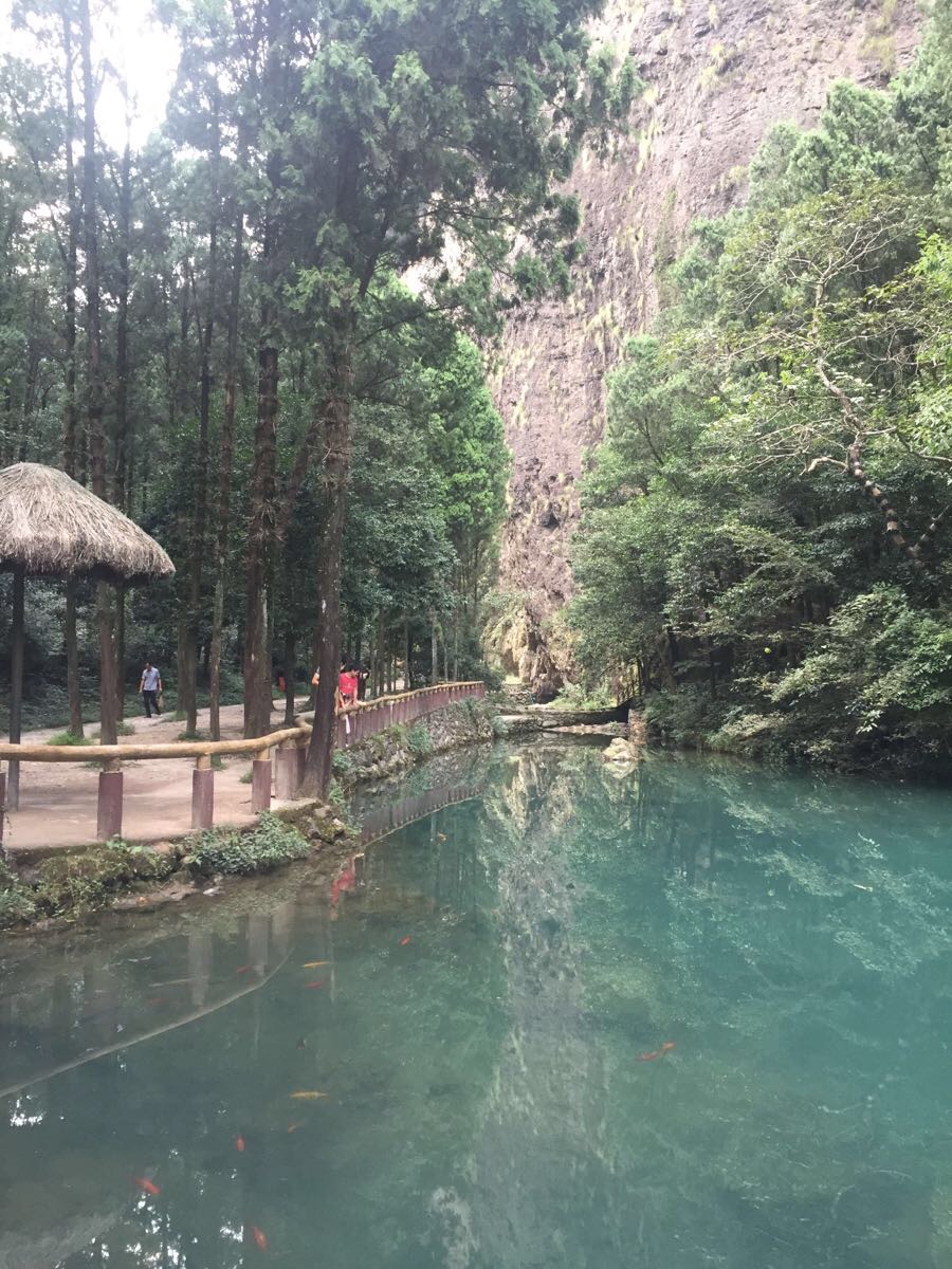 雁荡山净名谷景区