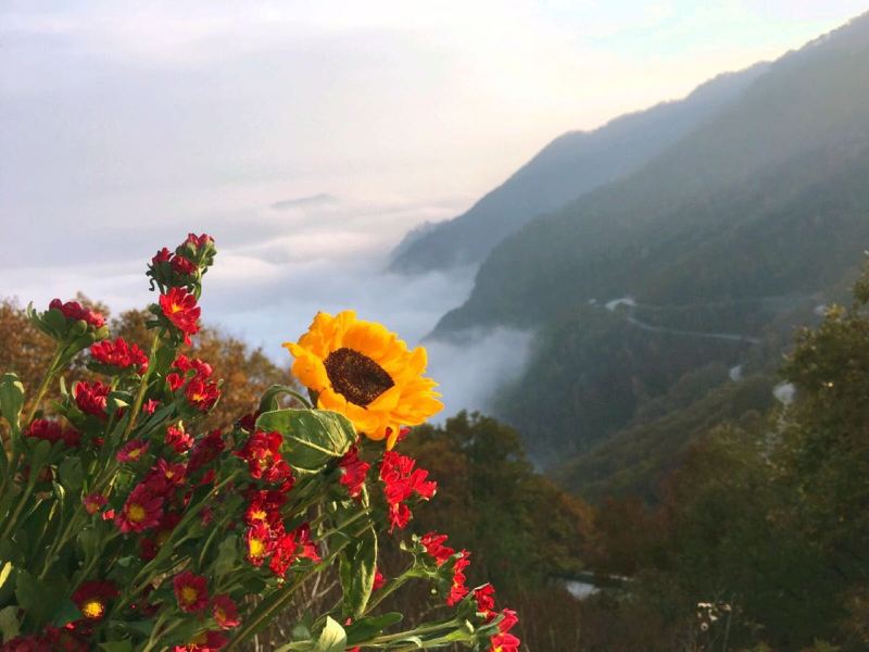 北京百花谷风景区攻略-百花谷风景区门票价格多少钱-团购票价预定优惠