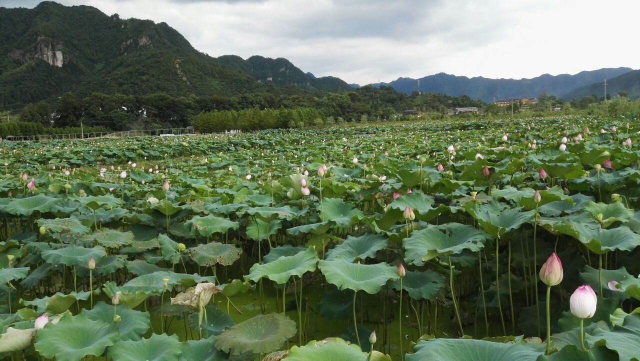 天台后岸村好玩吗,天台后岸村景点怎么样_点评_评价【携程攻略】