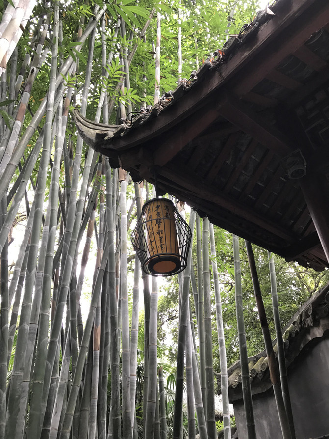 成都九寨沟五天四晚自由行(含实用攻略和拍照绥宁黄桑一日游攻略图片