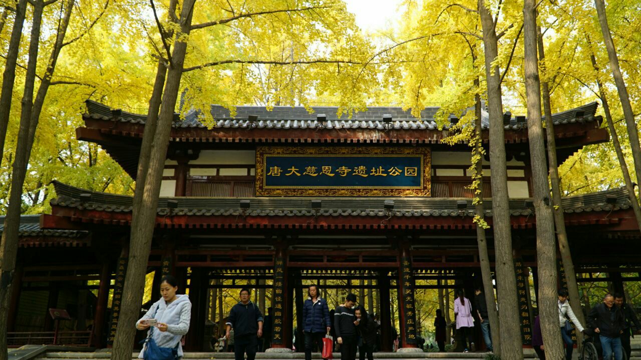 唐大慈恩寺遗址公园