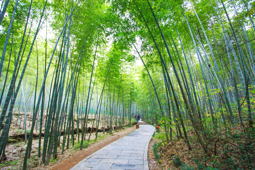 【初冬,天目湖小游】御水温泉 南山竹海