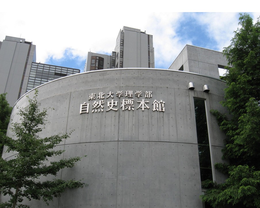 2019东北大学_旅游攻略_门票_地址_游记点评,仙台旅游