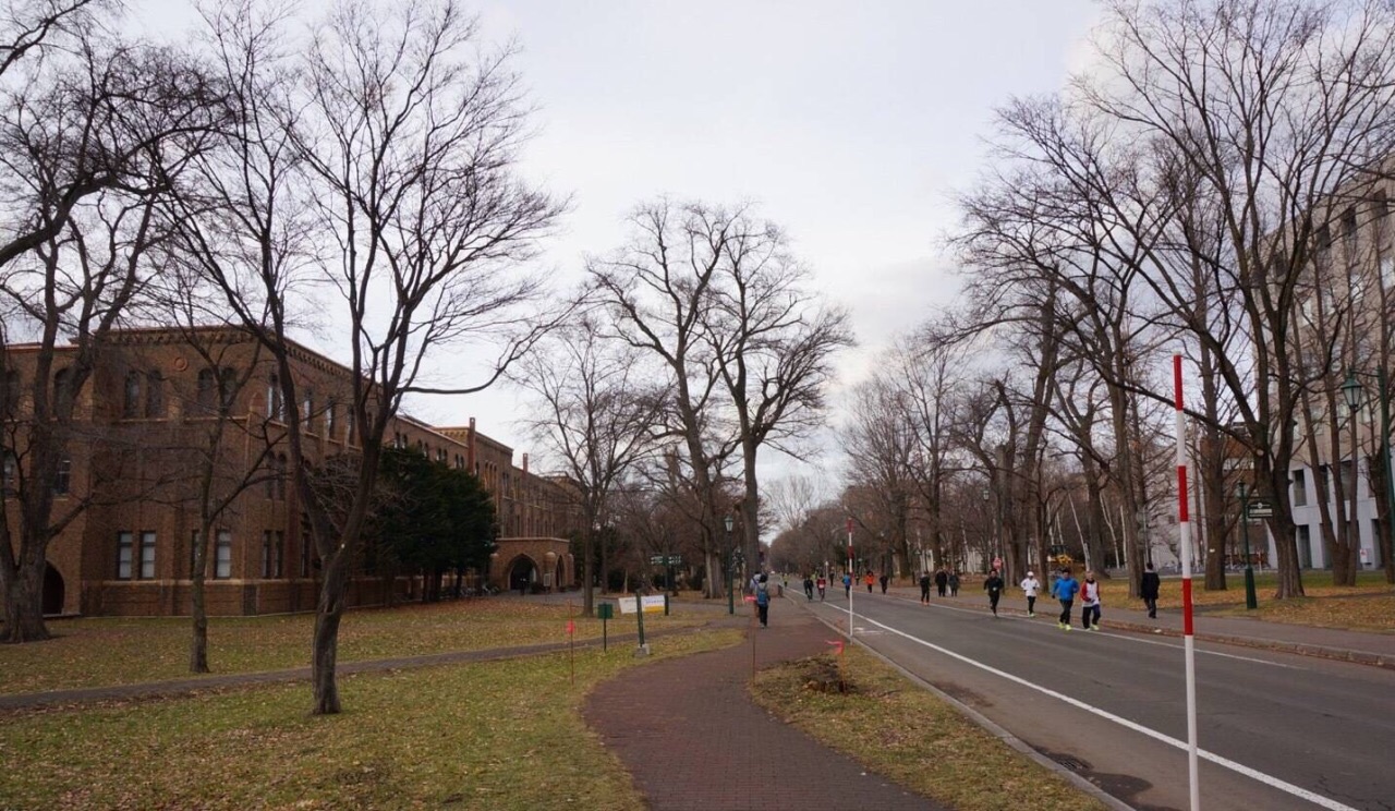 北海道大学