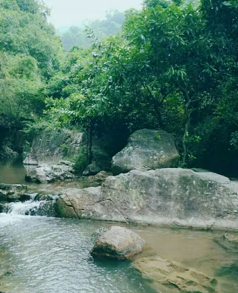 九龙谷景区旅游景点攻略图