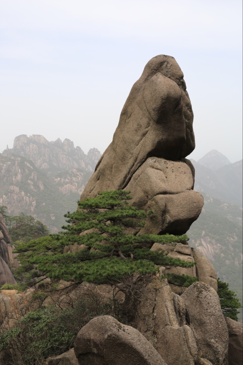 天都峰的海拔为1810米,为黄山三大主峰(莲花峰1864米,天都峰,光明顶