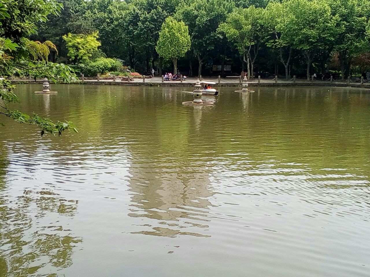 杨浦公园内-旅游攻略-门票-地址-问答-游记点评,上海旅游旅游景点