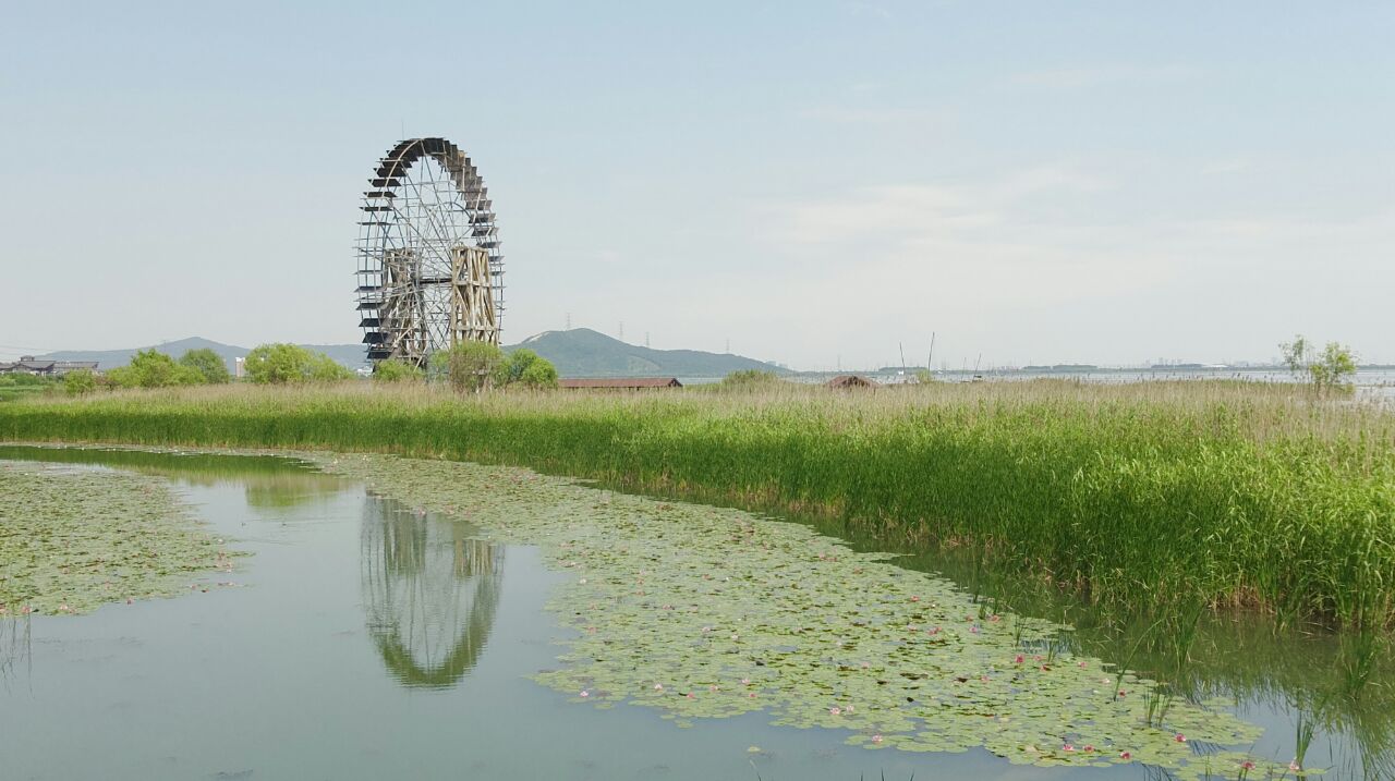 苏州太湖湖滨国家湿地公园