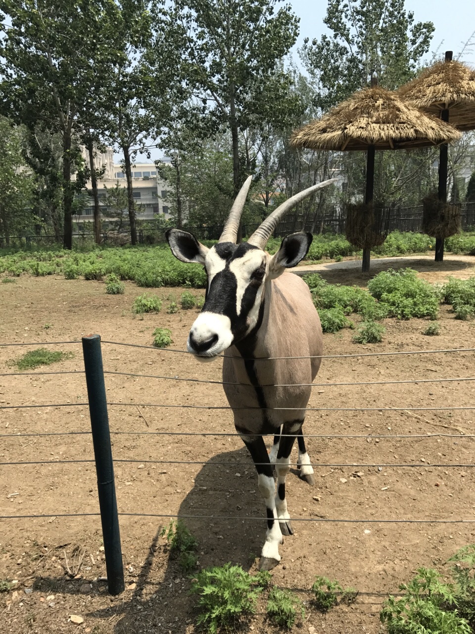 大连森林动物园