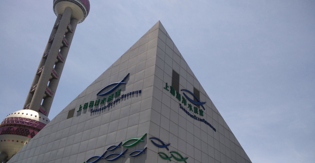 上海海洋水族馆