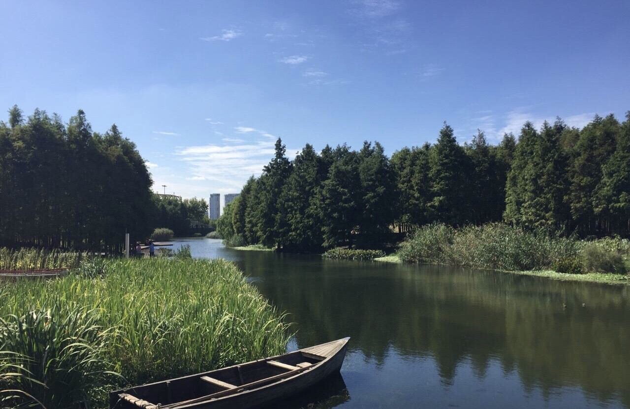 世博后滩湿地公园