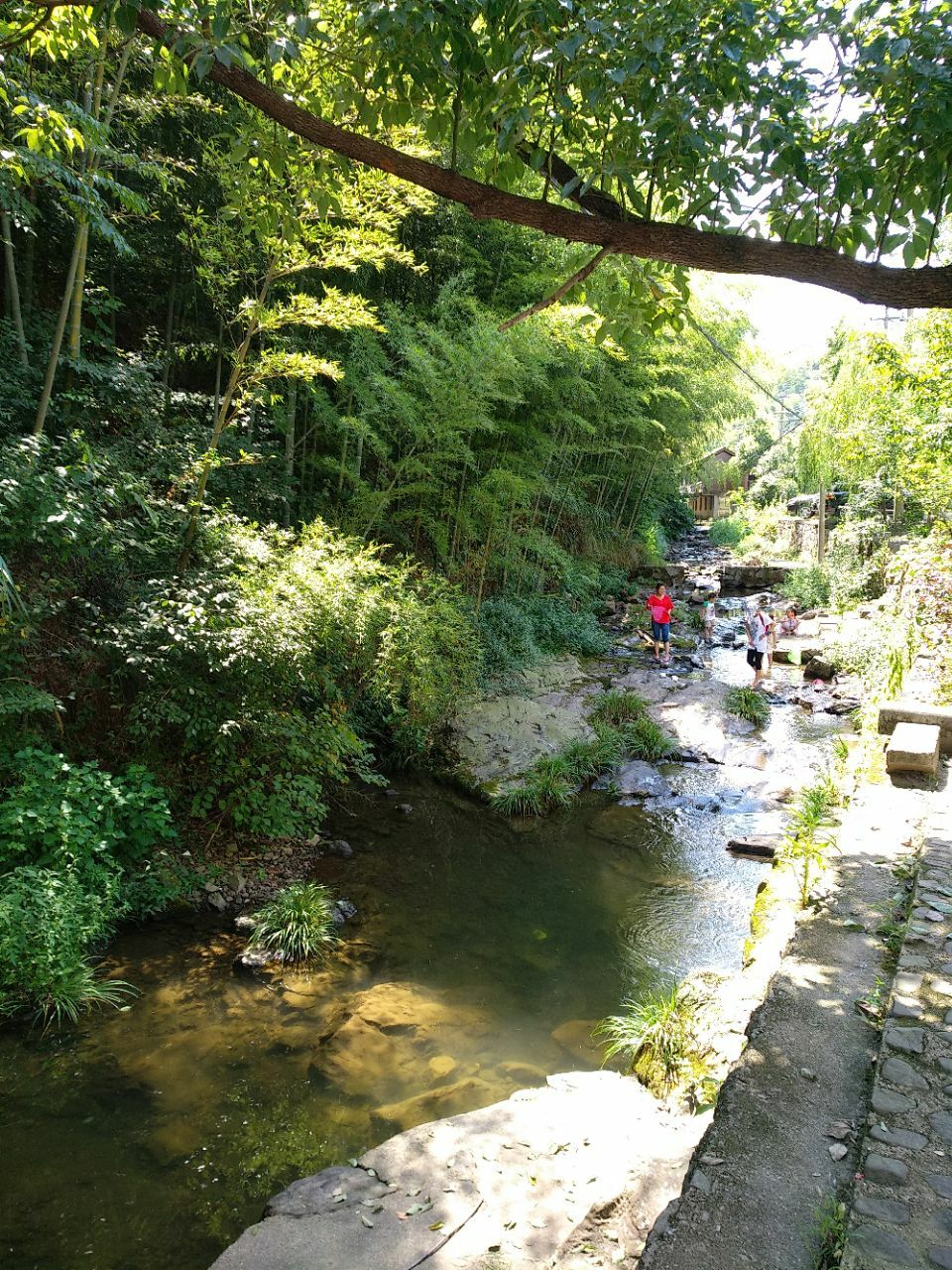 【携程攻略】安吉无蚊村景点,导航不太好找,要导某个饭店名.