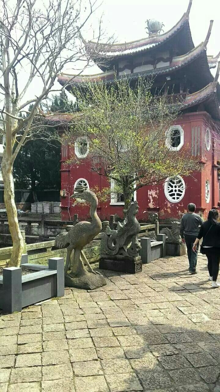 2019阜山清真禅寺_旅游攻略_门票_地址_游记点评,青田旅游景点推荐