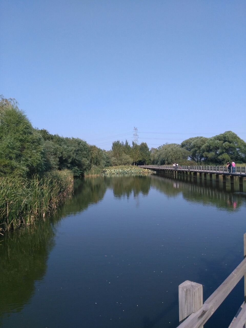 沈阳鸟岛