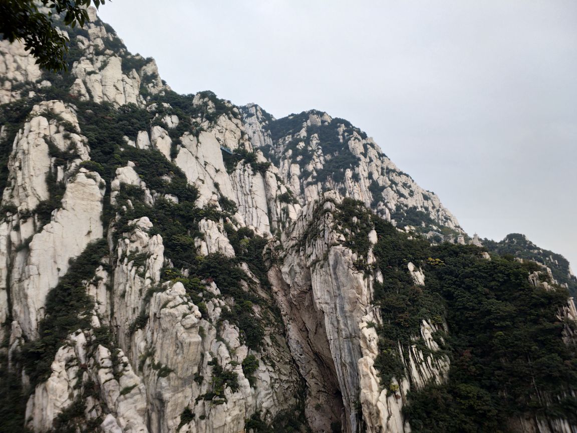 2019家庭寨_旅游地址_密室_攻略_三皇逃脱,少林寺旅游门票点评攻略大全游记图片