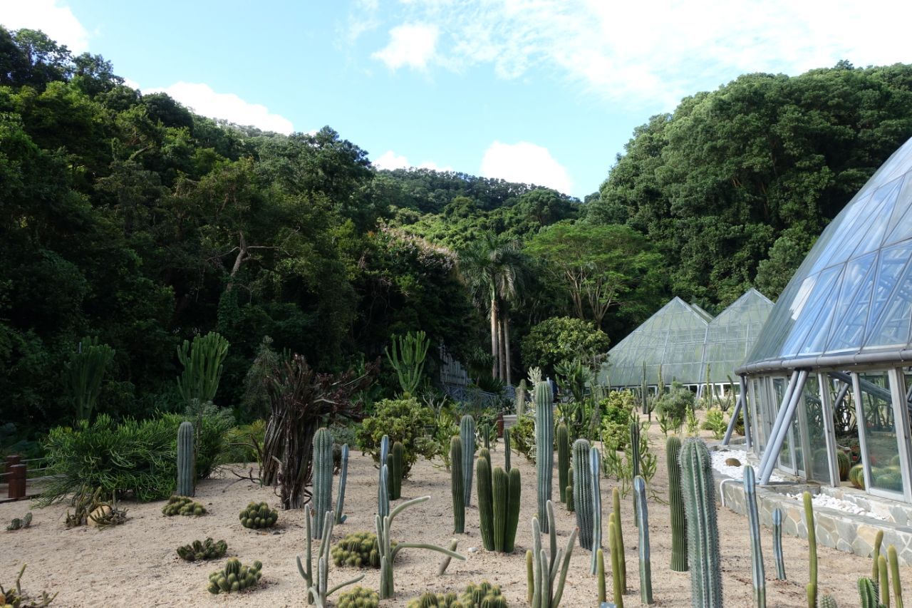 仙湖植物园好玩吗