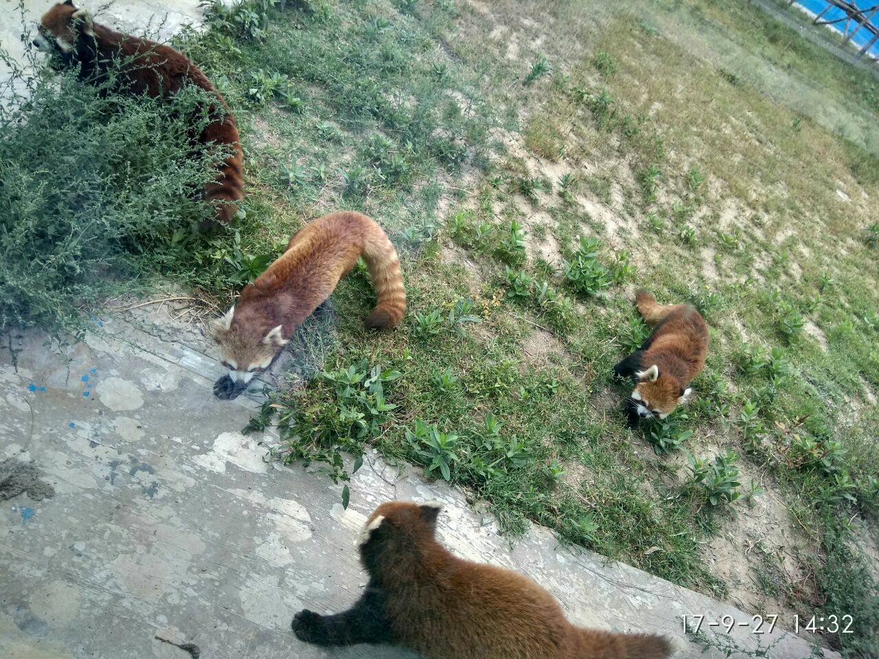 德州动植物园