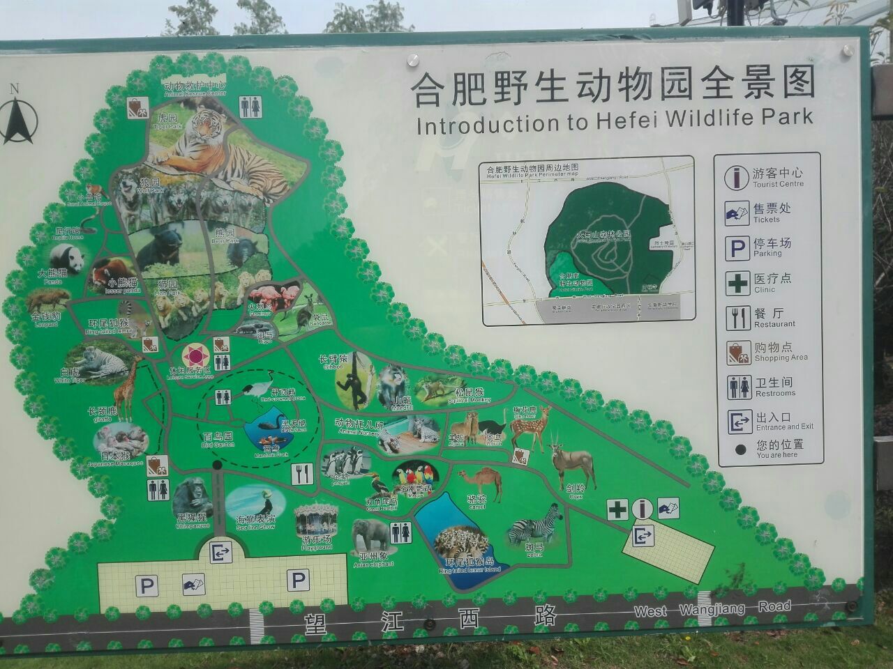 合肥蜀山野生动物园; 钱翔:365天登顶大蜀山的人