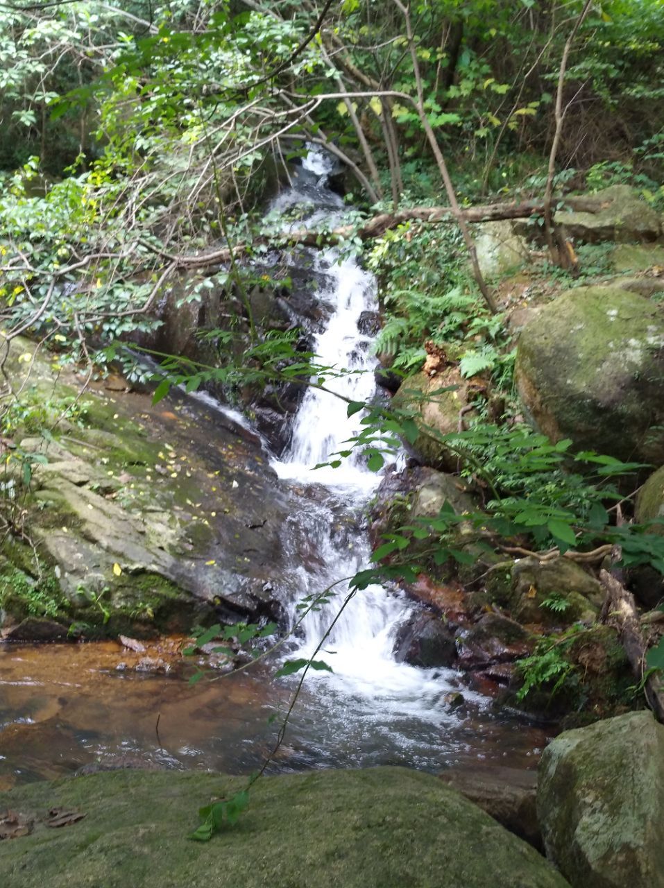 慈溪五磊山景区