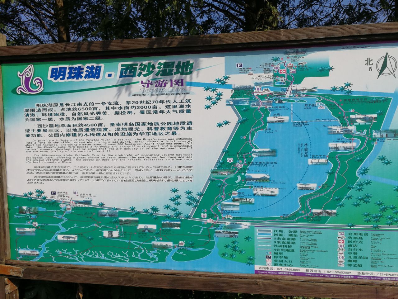 西沙湿地在崇明岛最西边,市区驱车过了长江隧桥后沿陈海公路要贯穿