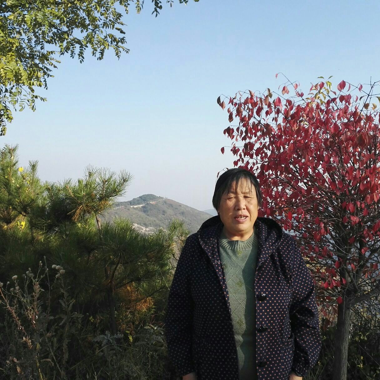 阳曲青草坡乡村庄园好玩吗,阳曲青草坡乡村庄园景点样