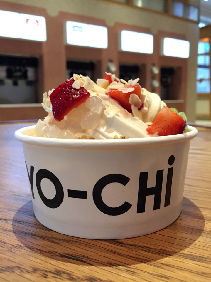 yo-chi frozen yogurt