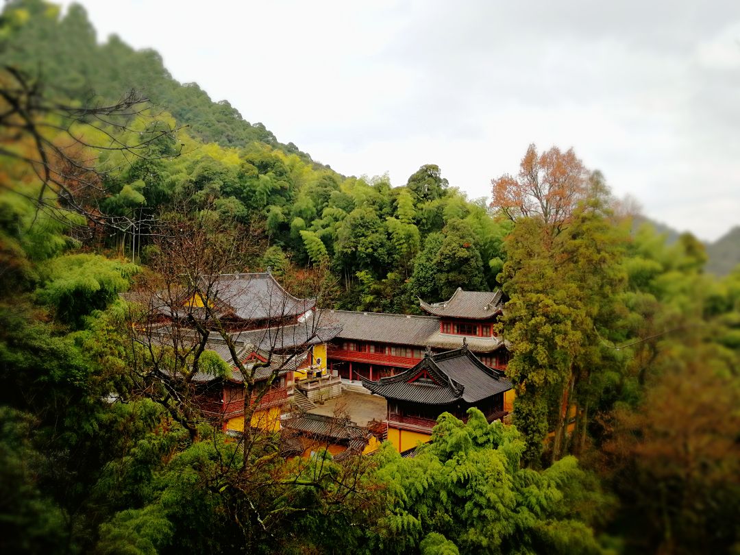 紧靠石梁飞瀑的是五百罗汉道场古方广寺,淡淡的沁人心脾