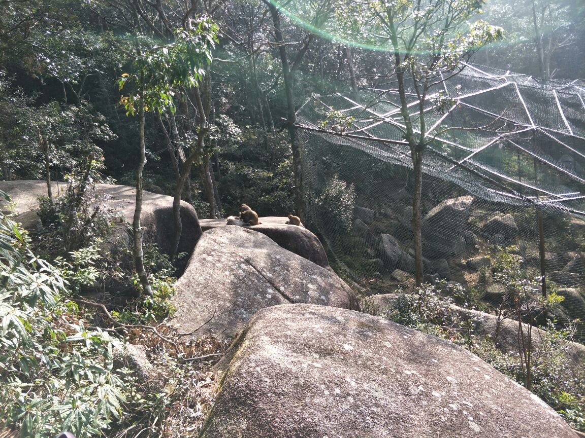 梅花山(中国虎园)