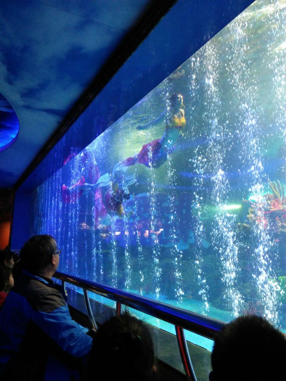 济南大明湖海底世界好玩吗,济南大明湖海底世界景点样