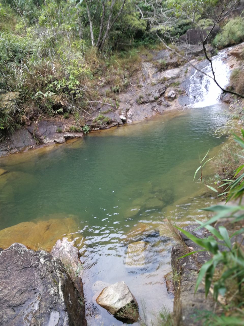 东兴东兴屏峰雨林公园好玩吗,东兴东兴屏峰雨林公园样