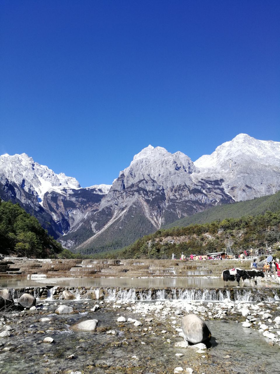 丽江玉龙雪山 冰川公园大索道 蓝月谷一日游【经典纯玩,雪山观景,专线