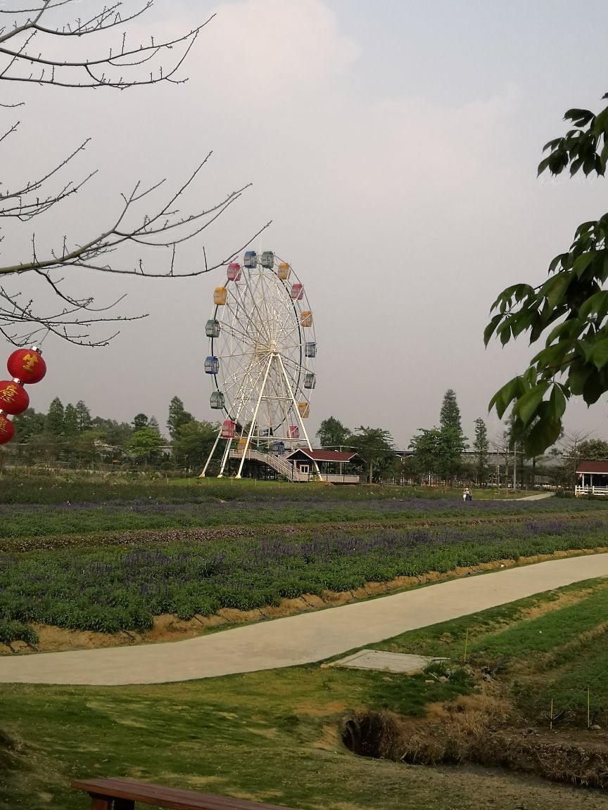 梦里水乡百花园