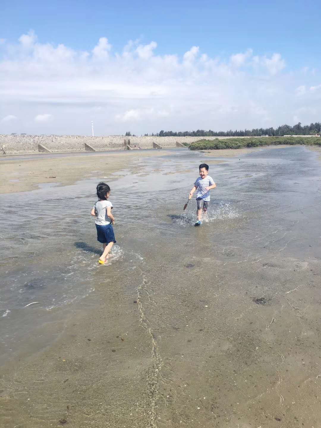 红树林天天赶海