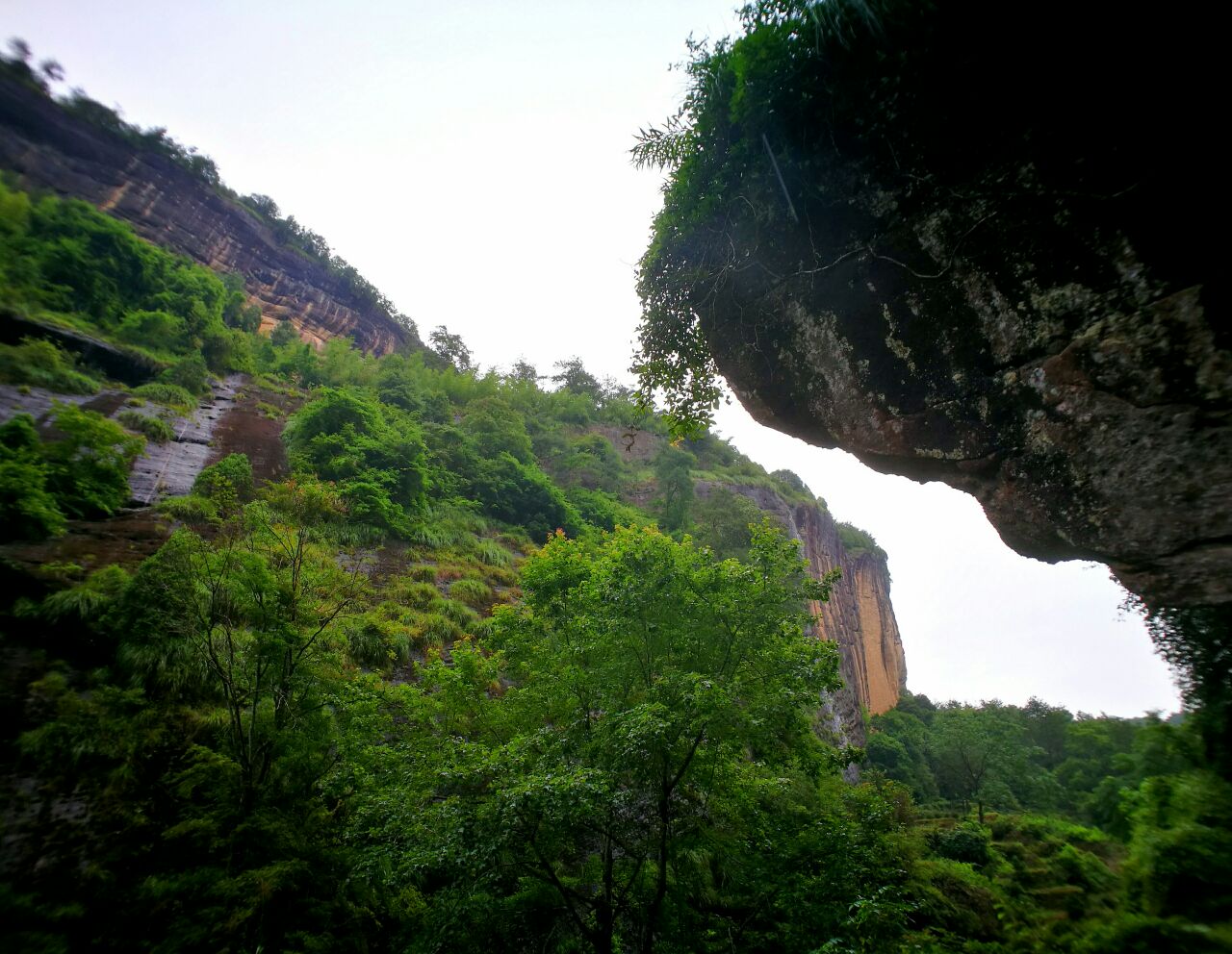 2019大红袍景区_旅游攻略_门票_地址_游记点评,武夷山