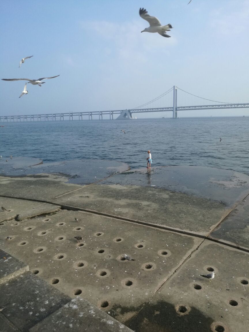 2019星海广场_旅游攻略_门票_地址_游记点评,大连旅游